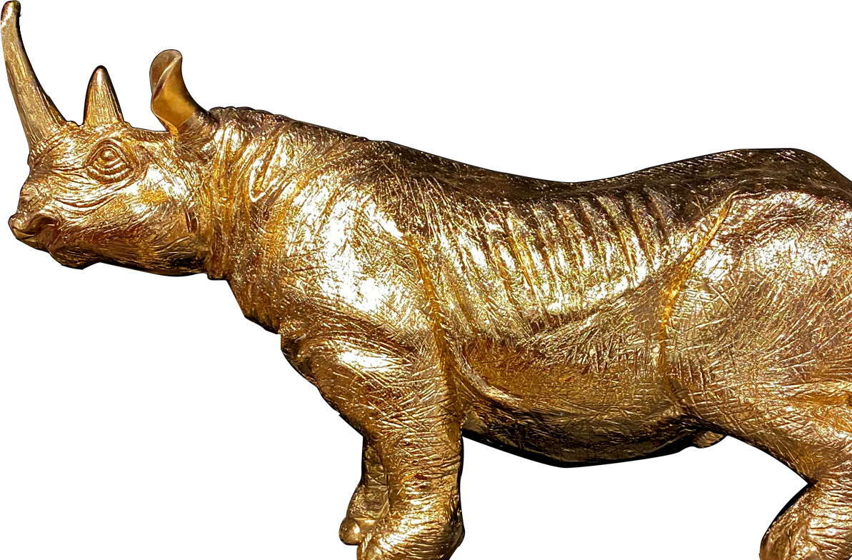 Rhino